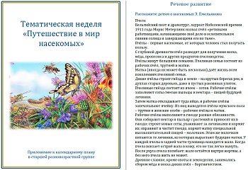 Тематическая неделя &laquo;Путешествие в мир насекомых&raquo;
