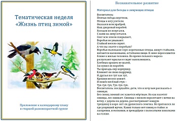 Тематическая неделя &laquo;Жизнь птиц зимой&raquo;